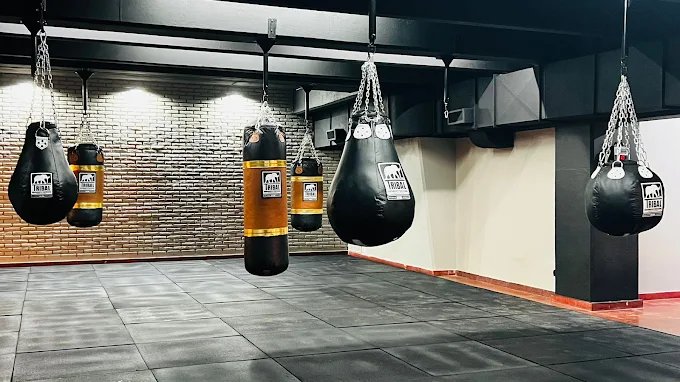 Sala del club con bolsas de boxeo